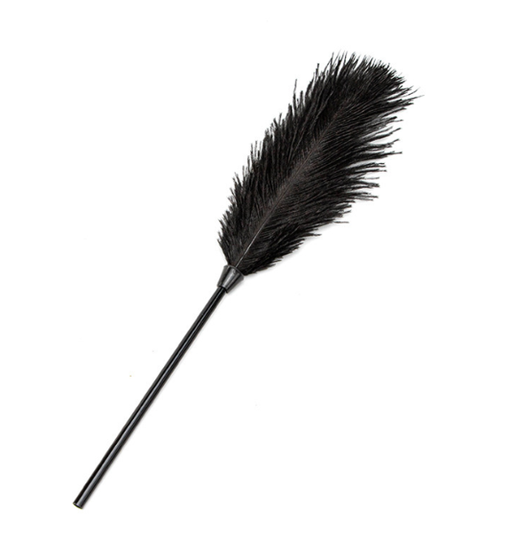 Fun Ostrich Feather Tickler for Flirting - Adult Sensory Toy