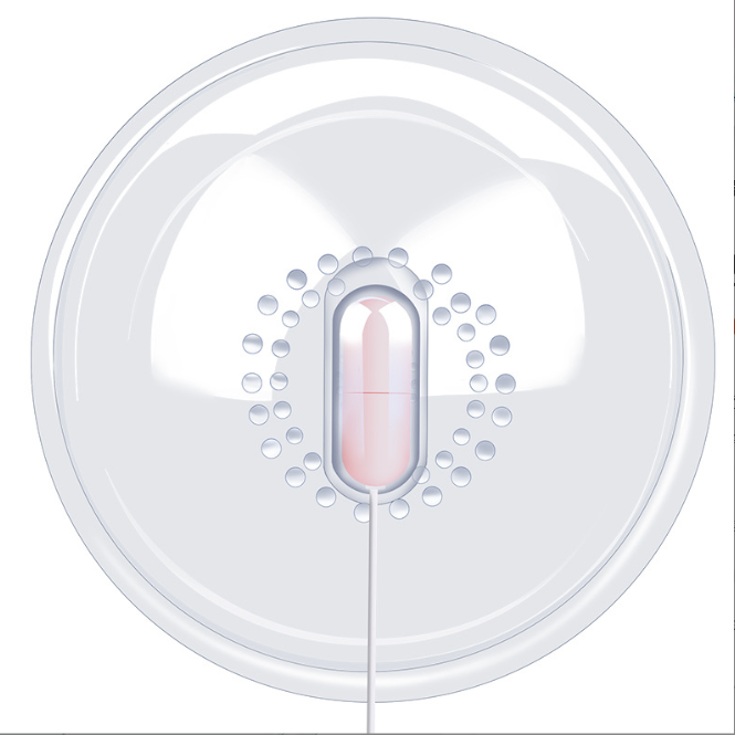 Breast & Clitoral Massager with Vibrating Egg for BDSM Play